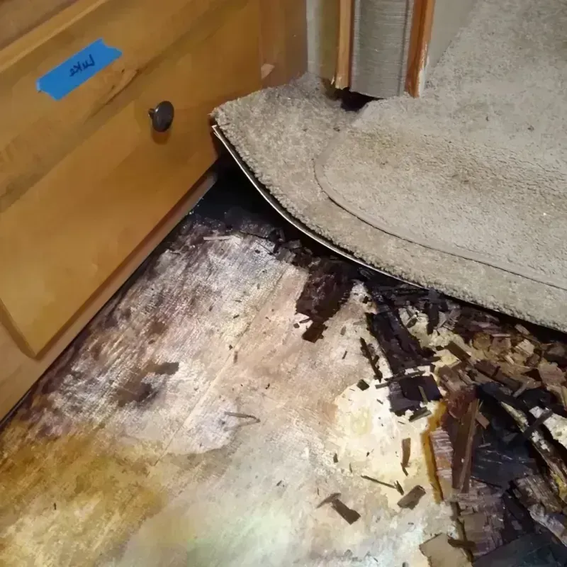 Wood Floor Water Damage in Broward County, FL